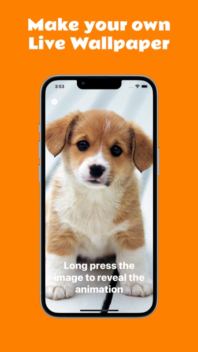 Live Photo Wallpaper Generator Screenshot
