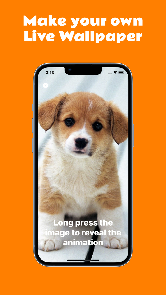 Live Photo Wallpaper Generator