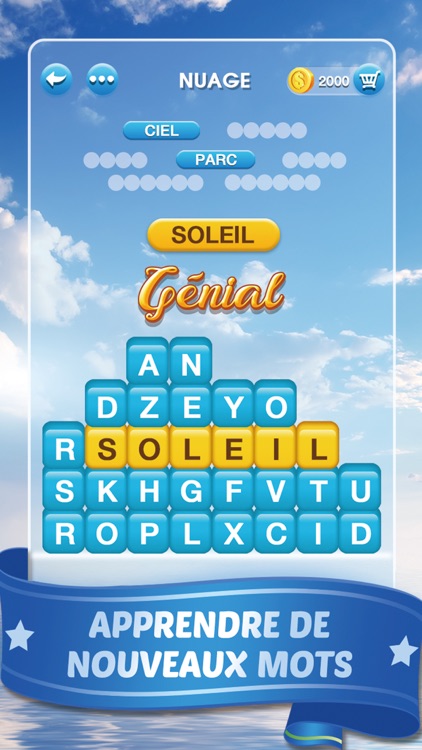 Mots Malins - Jeu de mots pro