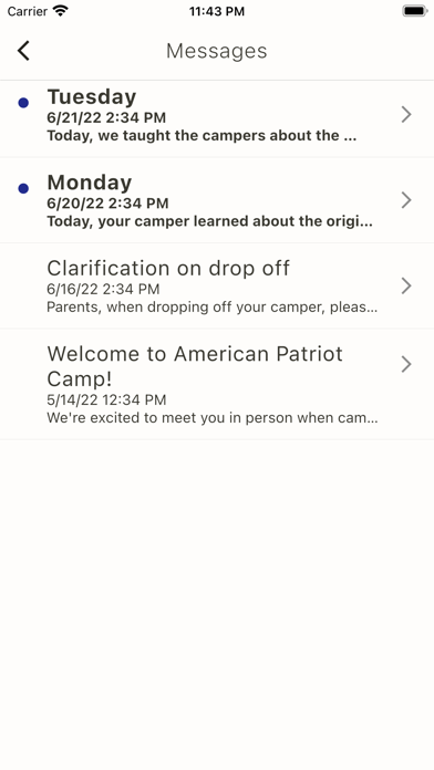 American Patriot Camp Screenshot