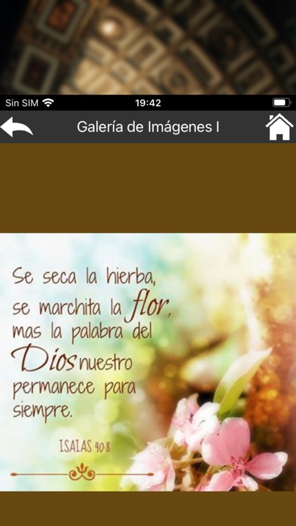 Promesas Bíblicas y Biblia screenshot-3