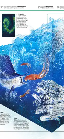 Game screenshot Virtual Reality OCEANS! apk