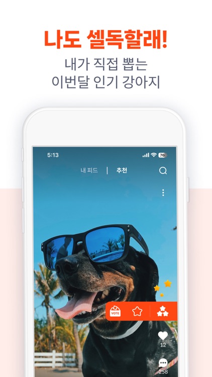셀레브리독