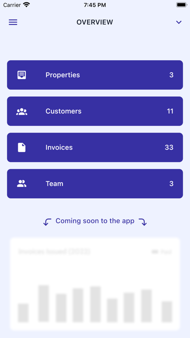 Invoiless Screenshot