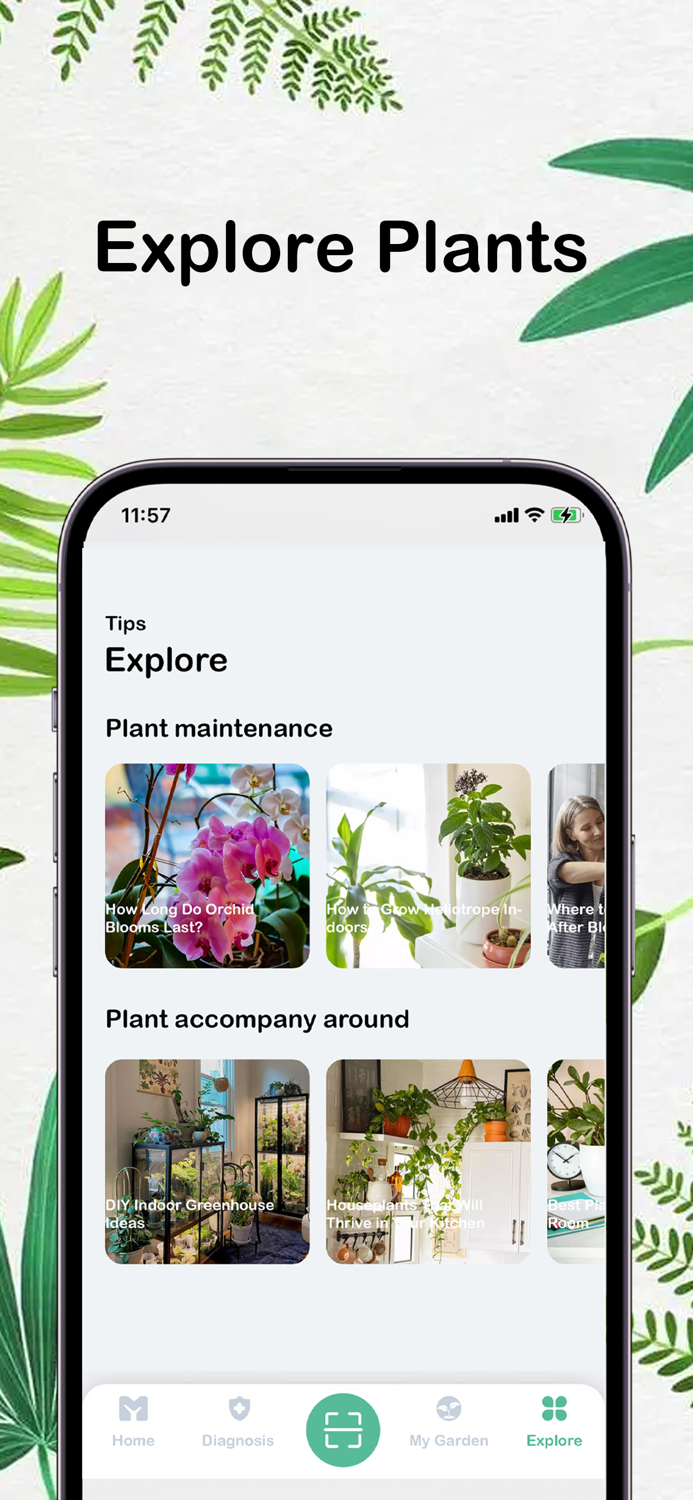 PlantID-AI Plant Identifier