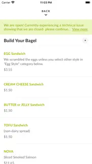 brooklyn bagel & coffee co. problems & solutions and troubleshooting guide - 4
