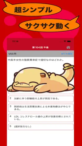 Game screenshot 助産師のたまご(過去問) mod apk