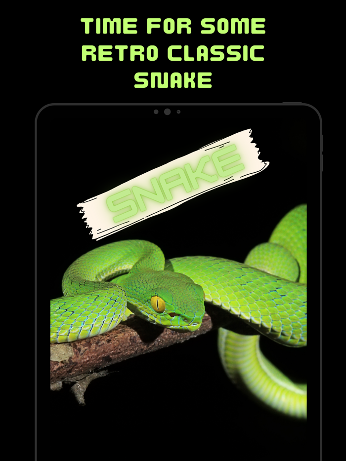 Retro Classic Snake