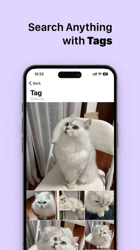 #4. AI Photo Finder (iOS) 由: 立君 薛