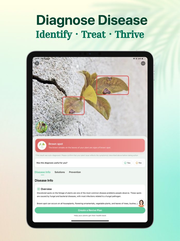 Plant Parent Plant Care Guide