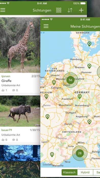 Wild Animals and Traces PRO Screenshot