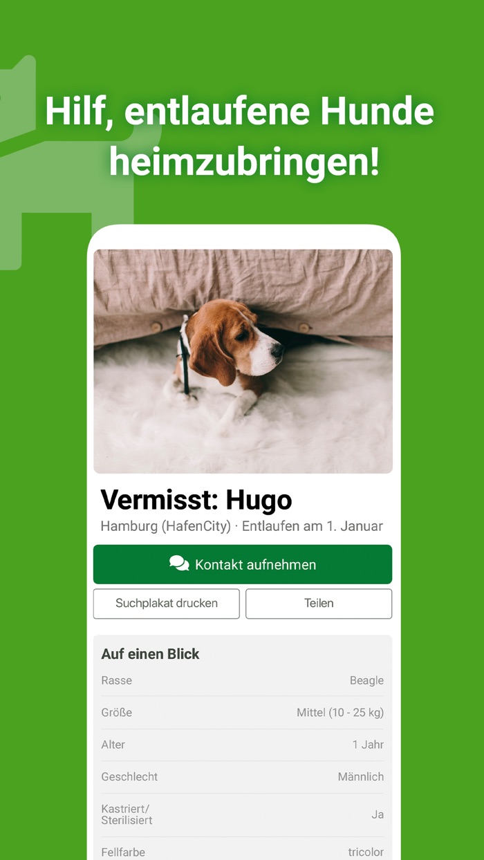 Dogorama – Die Hunde-Community