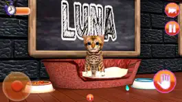 Game screenshot Cat Simulator Pet Kitten Games hack