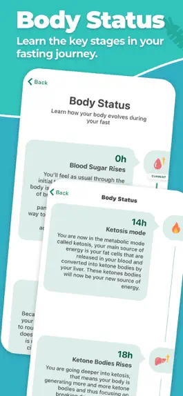 Game screenshot Fasting Tracker for long fast hack