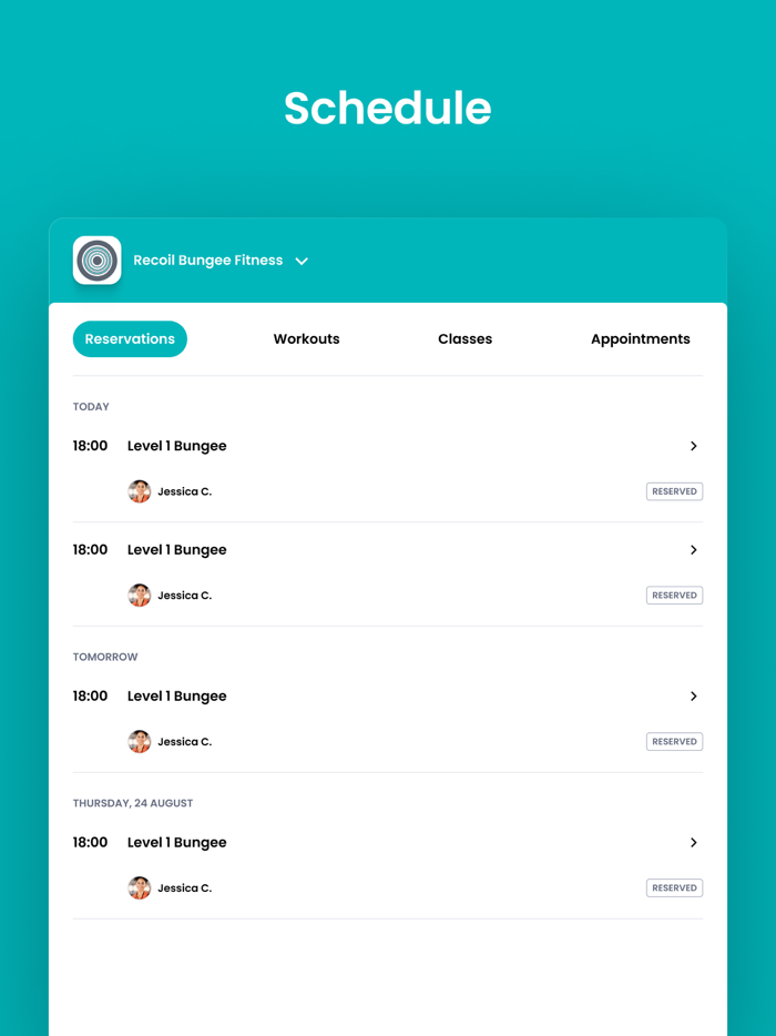 Recoil Bungee Fitness