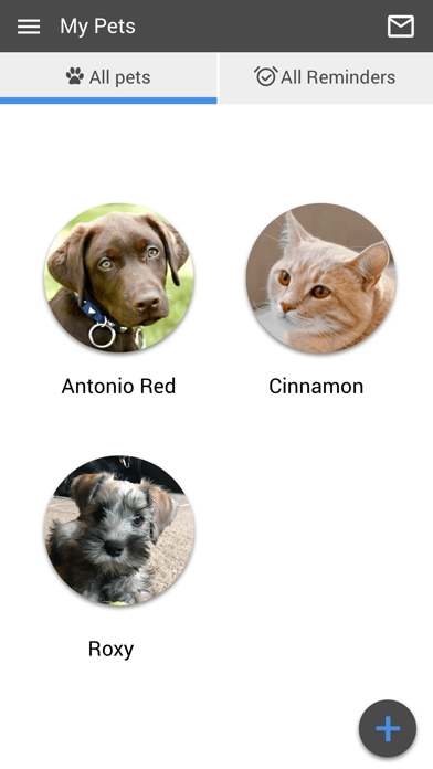 Mountain View Vet Clinic Screenshot
