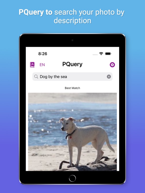 PicQuery-AI Photo finder iPad screenshot 2 - Photo & Video app