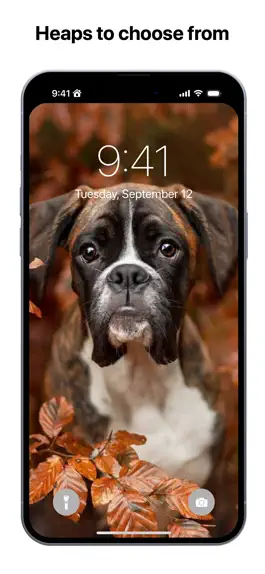 Game screenshot Dogs Wallpapers Notch Remover apk