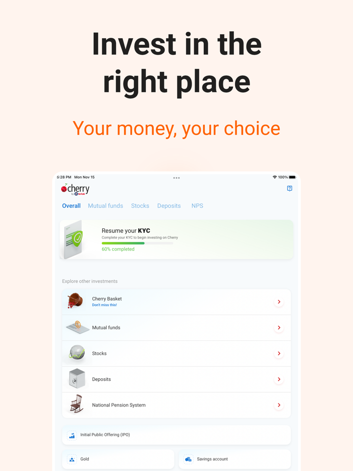 Cherry MF Stocks and Bonds