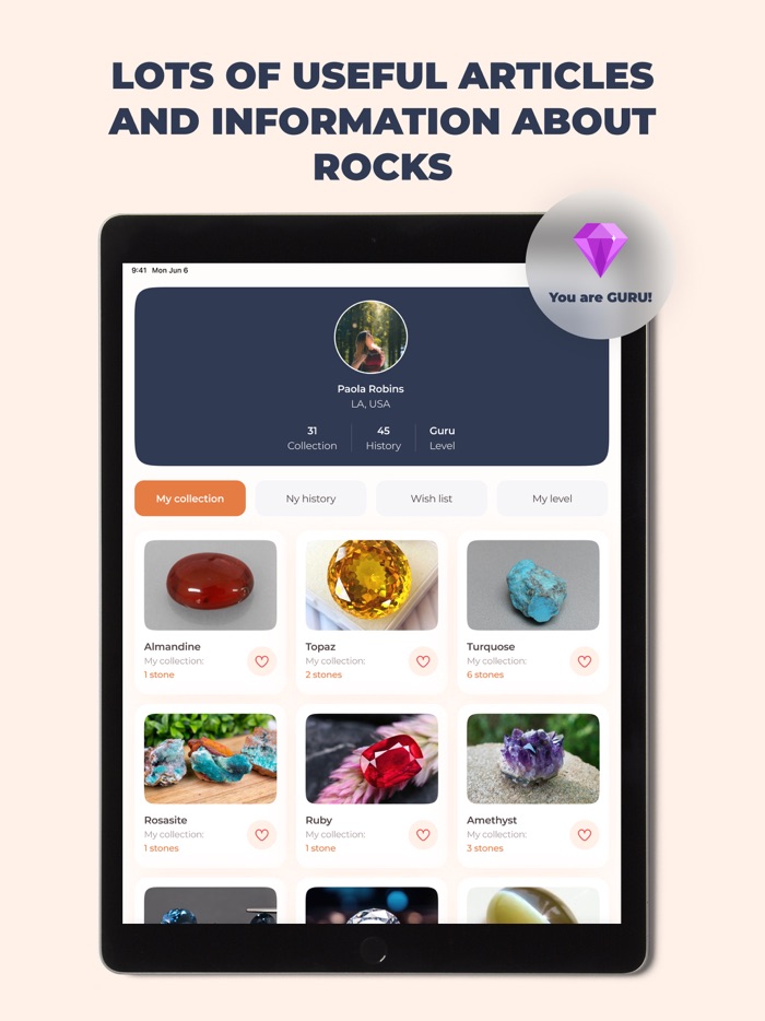 Stone Identifier Rock Scanner