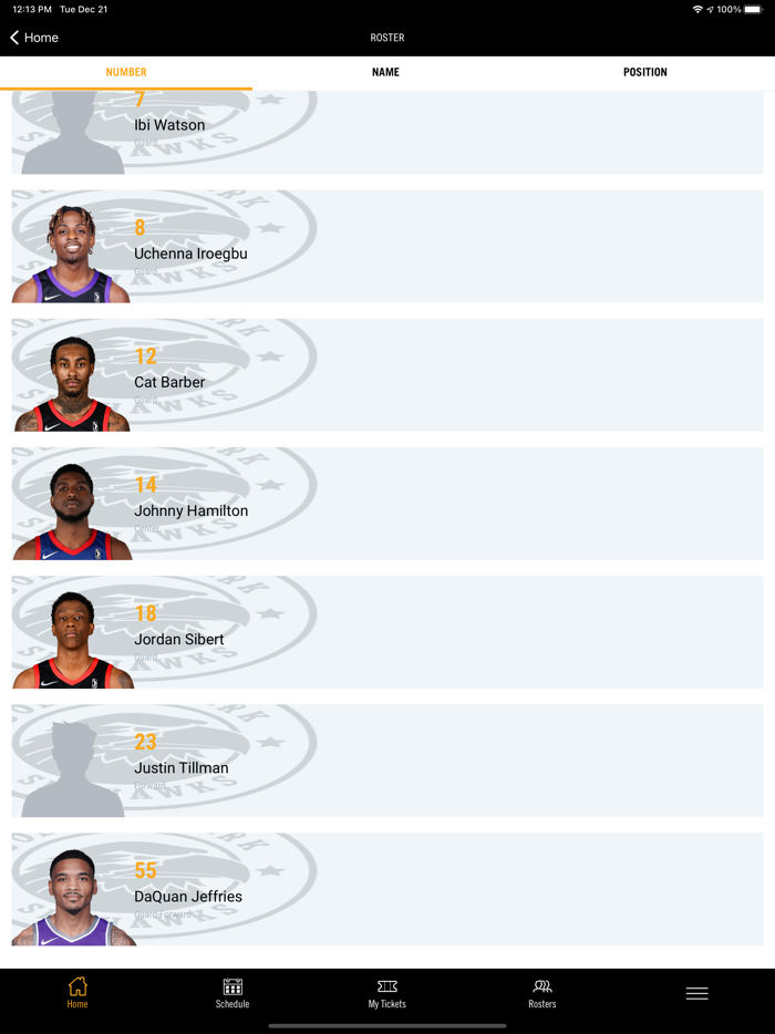 College Park Skyhawks