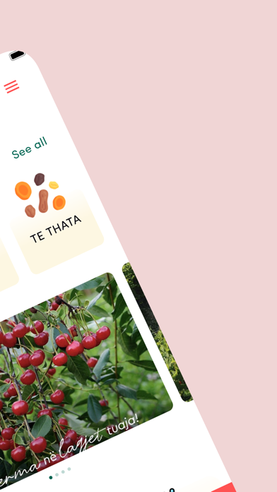 DoniFruits Screenshot