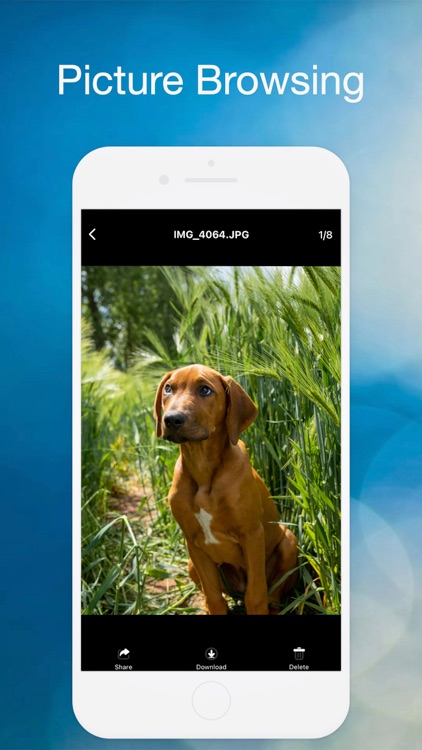 Secret Album - SA screenshot-4