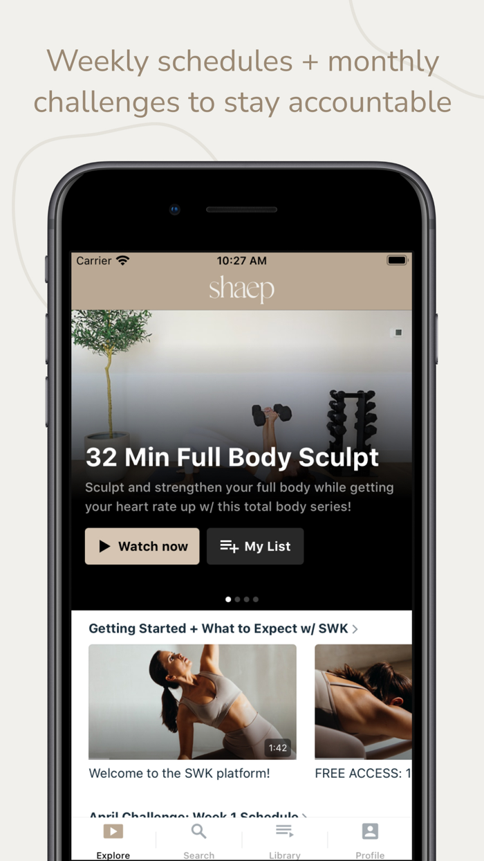 shaep by Kelsey Rose