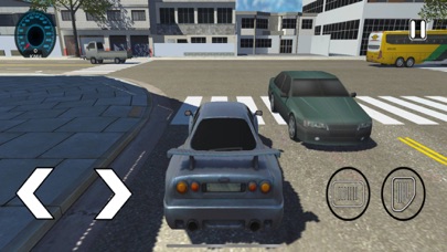Driver Traffic Pro Screenshot