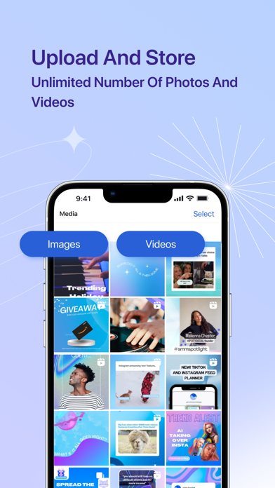 Vista Social Screenshot