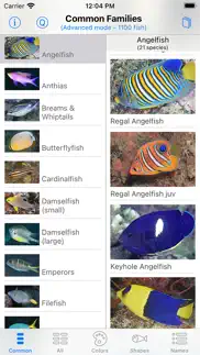 philippines fish id iphone screenshot 3