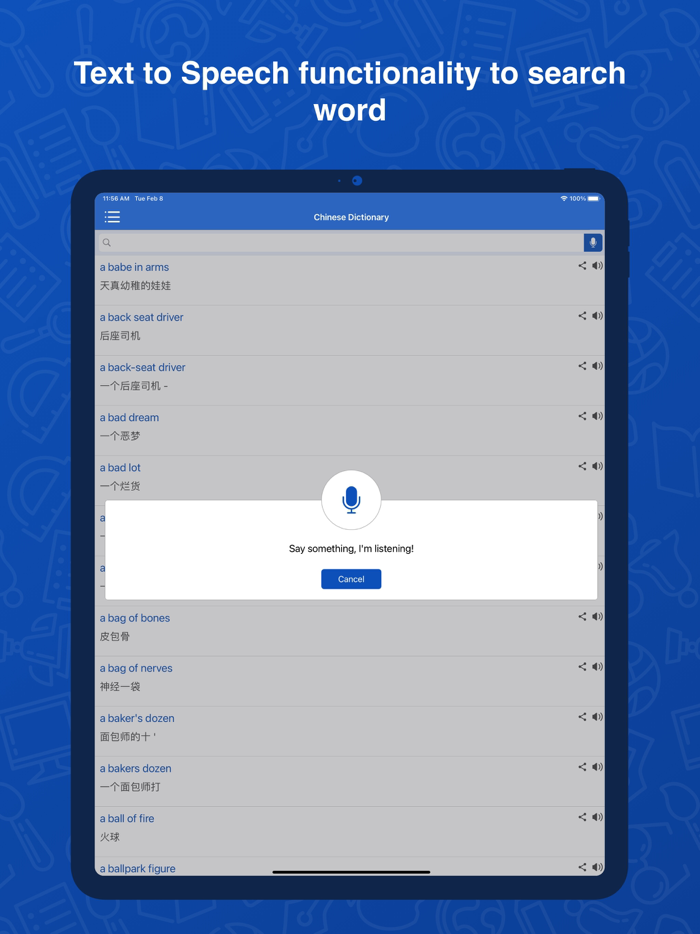 Chinese Dictionary Translator