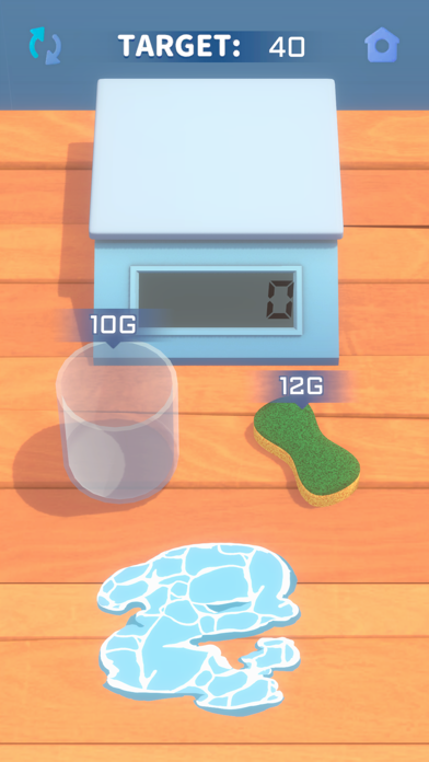 Weight Master Screenshot