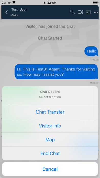 REVE Chat Screenshot
