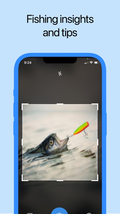 Fish Identifier: AI Scanner