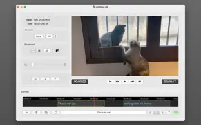 video label iphone resimleri 1
