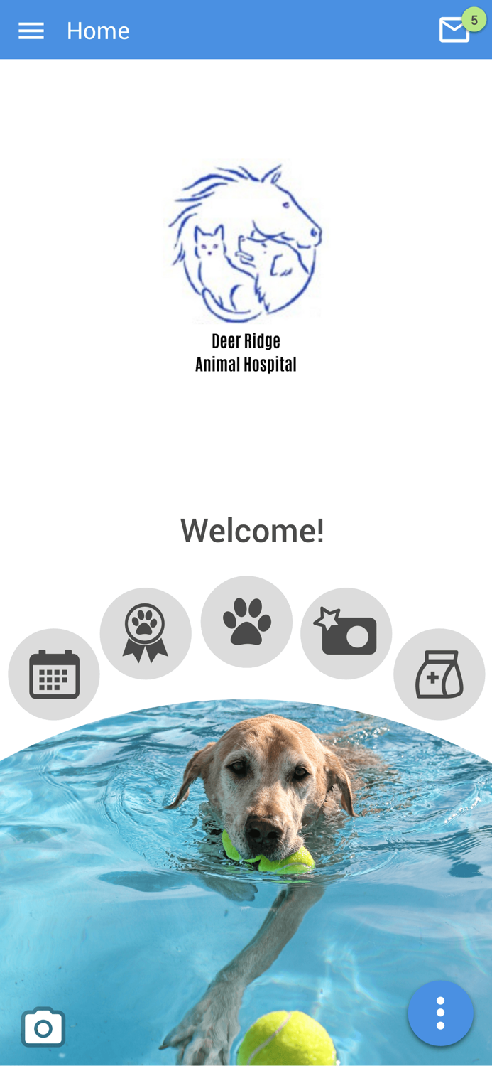 Deer Ridge Animal Hospital