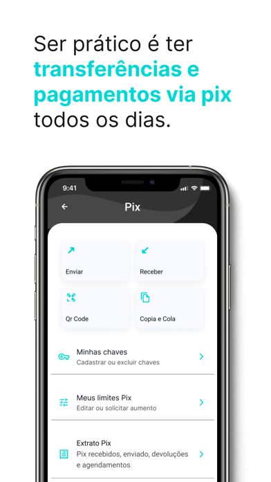 Screenshot #3 pour Conta Digital Dock