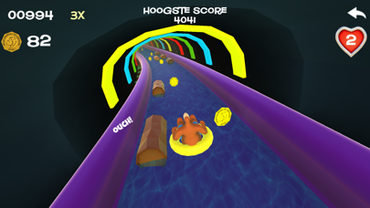 Hellendoorn Waterslide Screenshot