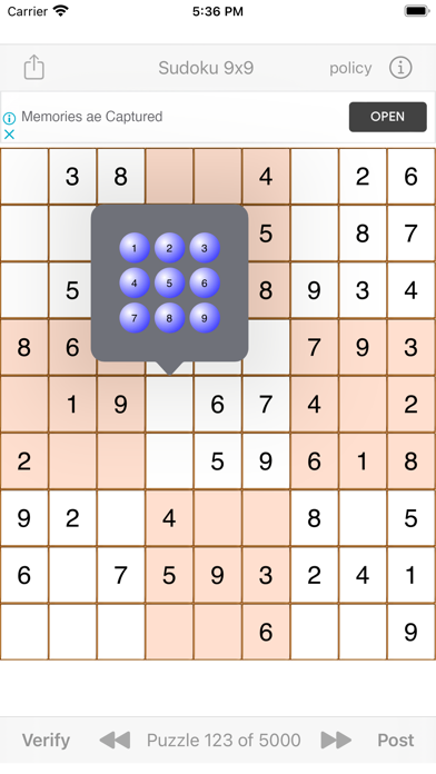 Sudoku 9x9 Game Screenshot