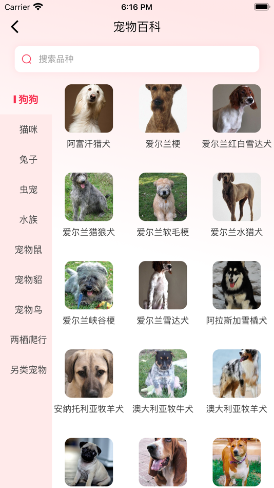 #5. 猫狗语言交流器 (iOS) 由: Beijing purple whale Technology Co., LTD