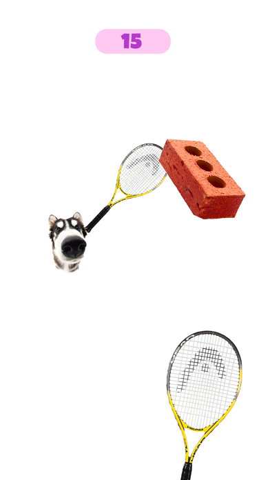 Dog & Cat Tennis Screenshot
