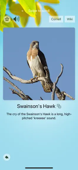 Game screenshot Chirp! Bird Songs & Calls USA apk