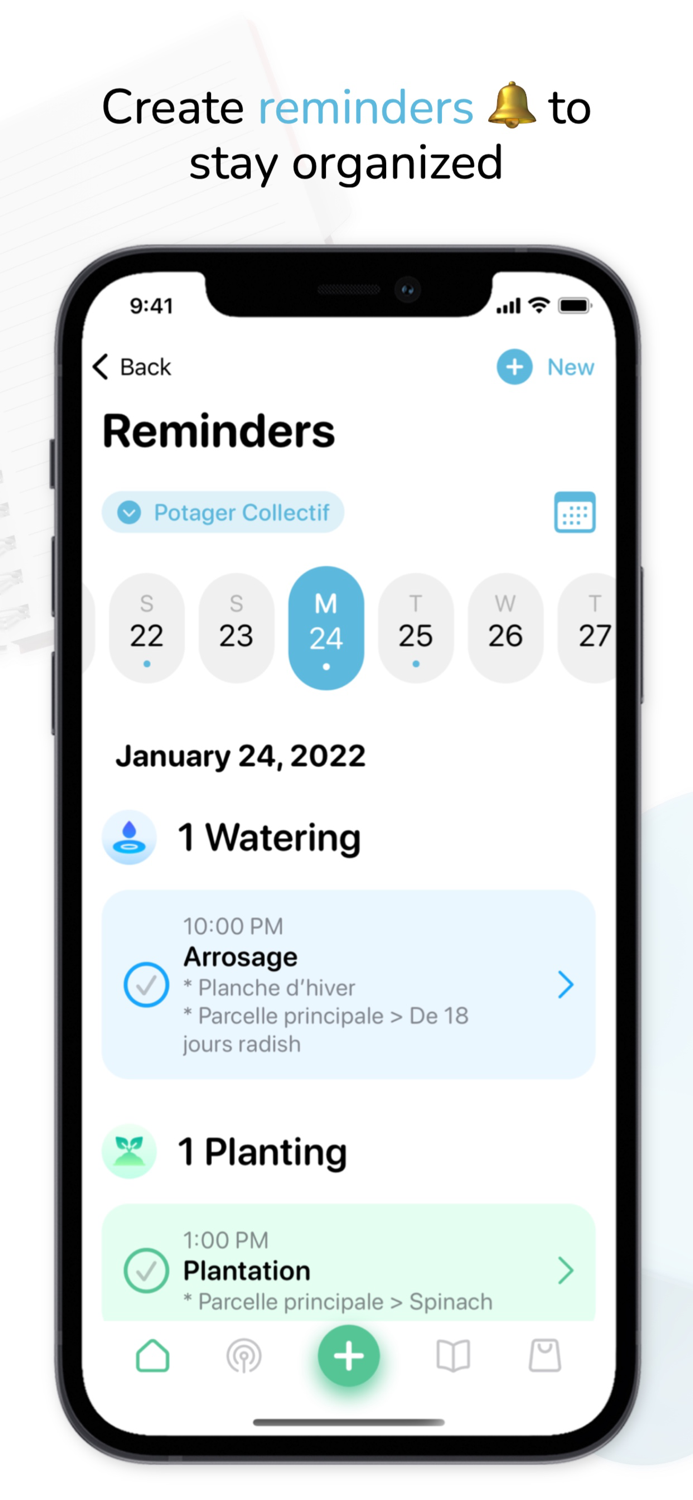 Tomate and Basilic- Permaculture