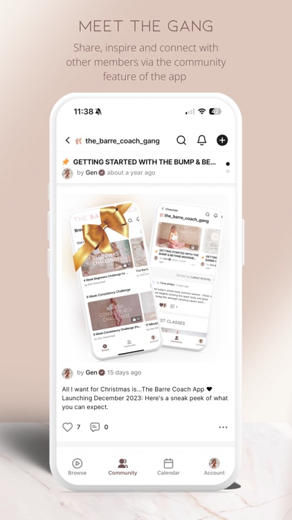 The Barre Coach screenshot-7