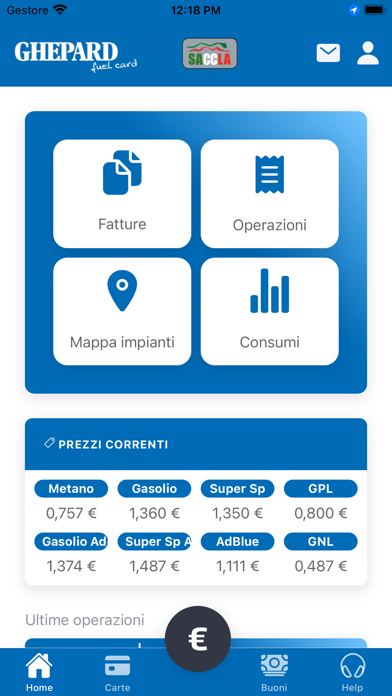 Ghepard Fuel Card Screenshot