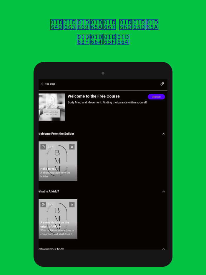 BMM The Aikido Mindset