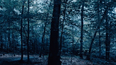 The Holyburn Witches Screenshot