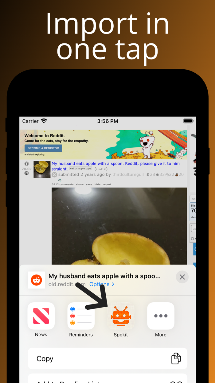 Reddit Text to Speech - Spokit