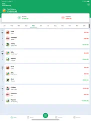 expense manager - daily budget iPad Captures Décran 2
